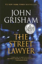 The Street Lawyer