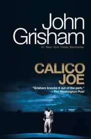 Calico Joe A Novel