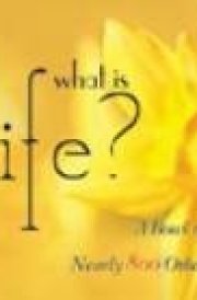 What Is Life: A Bowl Of Cherries & Nearly 800 Other Answers