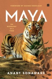 Maya : The Biography of a Tiger