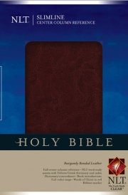 Slimline Center Column Reference Bible NLT