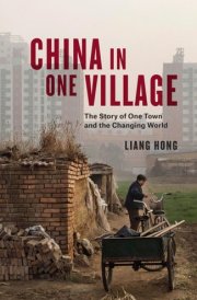 China in One Village The Story of One Town and the Changing World