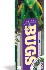 Bugs