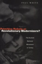 Primitive Rebels Or Revolutionary Modernizers The Kurdish Nationalist Movement in Turkey