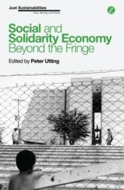 Social and Solidarity Economy Beyond the Fringe