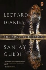 Leopard Diaries The Rosette in India