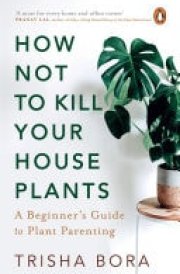 How Not To Kill Your Houseplants A Beginner’s Guide to Plant Parenting