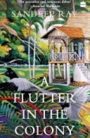 A Flutter in the Colony