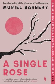 A Single Rose