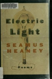 Electric Light Poems