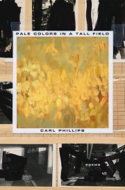 Pale Colors in a Tall Field Poems