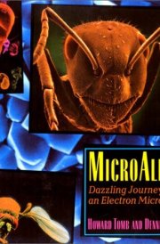 Microaliens Dazzling Journeys with an Electron Microscope
