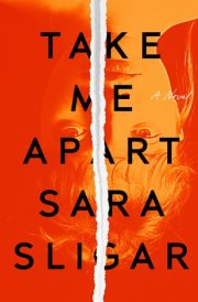 Take Me Apart A Novel