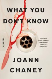 What You Don't Know A Novel
