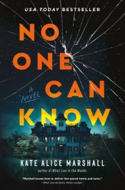 No One Can Know A Novel