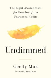 Undimmed The Eight Awarenesses for Freedom from Unwanted Habits