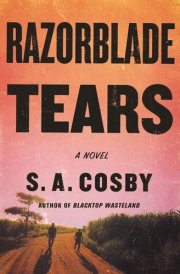 Razorblade Tears A Novel