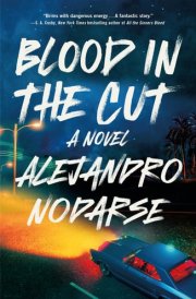 Blood in the Cut A Novel