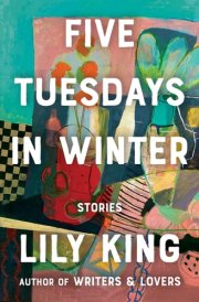 Five Tuesdays in Winter Stories
