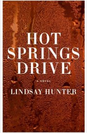Hot Springs Drive A Novel