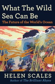 What the Wild Sea Can Be The Future of the World's Ocean