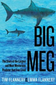 Big Meg The Story of the Largest and Most Mysterious Predator That Ever Lived
