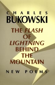 The Flash of Lightning Behind the Mountain New Poems