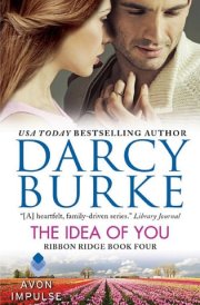 The Idea of You Ribbon Ridge Book Four