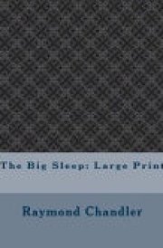 The Big Sleep Large Print
