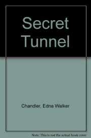 Secret Tunnel