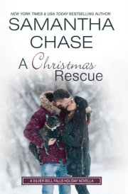 A Christmas Rescue (The Silver Bells Falls Series)