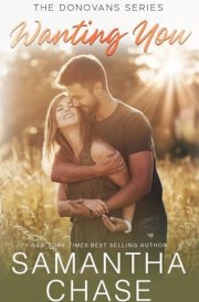 Wanting You Donovans (Sweetbriar Ridge)
