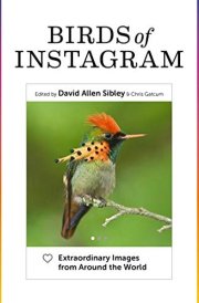 Birds of Instagram Extraordinary Images from Around the World
