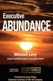 Executive Abundance - Changing the Rules of the Game for Lasting Success and Impact