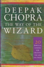 The Way of the Wizard Twenty Spiritual Lessons for Creating the Life You Want
