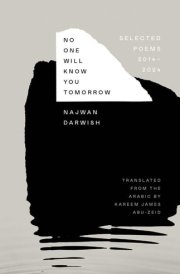 No One Will Know You Tomorrow - Selected Poems, 2014-2024