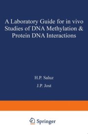 A laboratory guide for in vivo studies of DNA methylation and protein/DNA interactions
