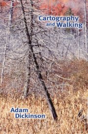 Cartography and Walking