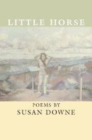 Little Horse