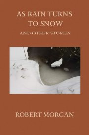 As Rain Turns to Snow and Other Stories