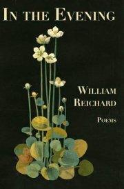 In the Evening Poems
