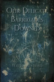 Our Delicate Barricades Downed Prose Poems