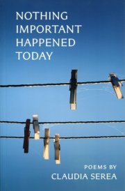Nothing Important Happened Today