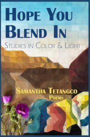 Hope You Blend in Studies in Color & Light