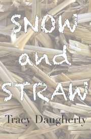 Snow and Straw Three Novellas on the Life of Poetry