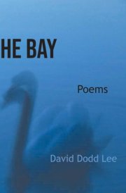 The Bay, poetry by David Dodd Lee