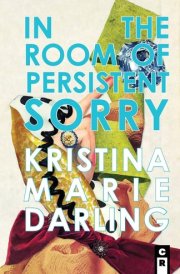 In the Room of Persistent Sorry Essays