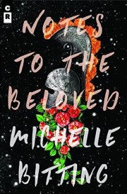Notes to the Beloved