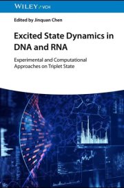 Excited State Dynamics in DNA and RNA - Experimental and Computational Studies on the Triplet State