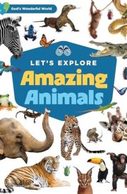 Let's Explore Amazing Animals